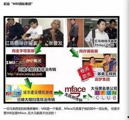 金钱爆料最新视频大全集,最新视频全集深度解析  第1张