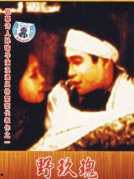 情挑野玫瑰在线观看,浪漫邂逅，激情燃烧的野性之旅